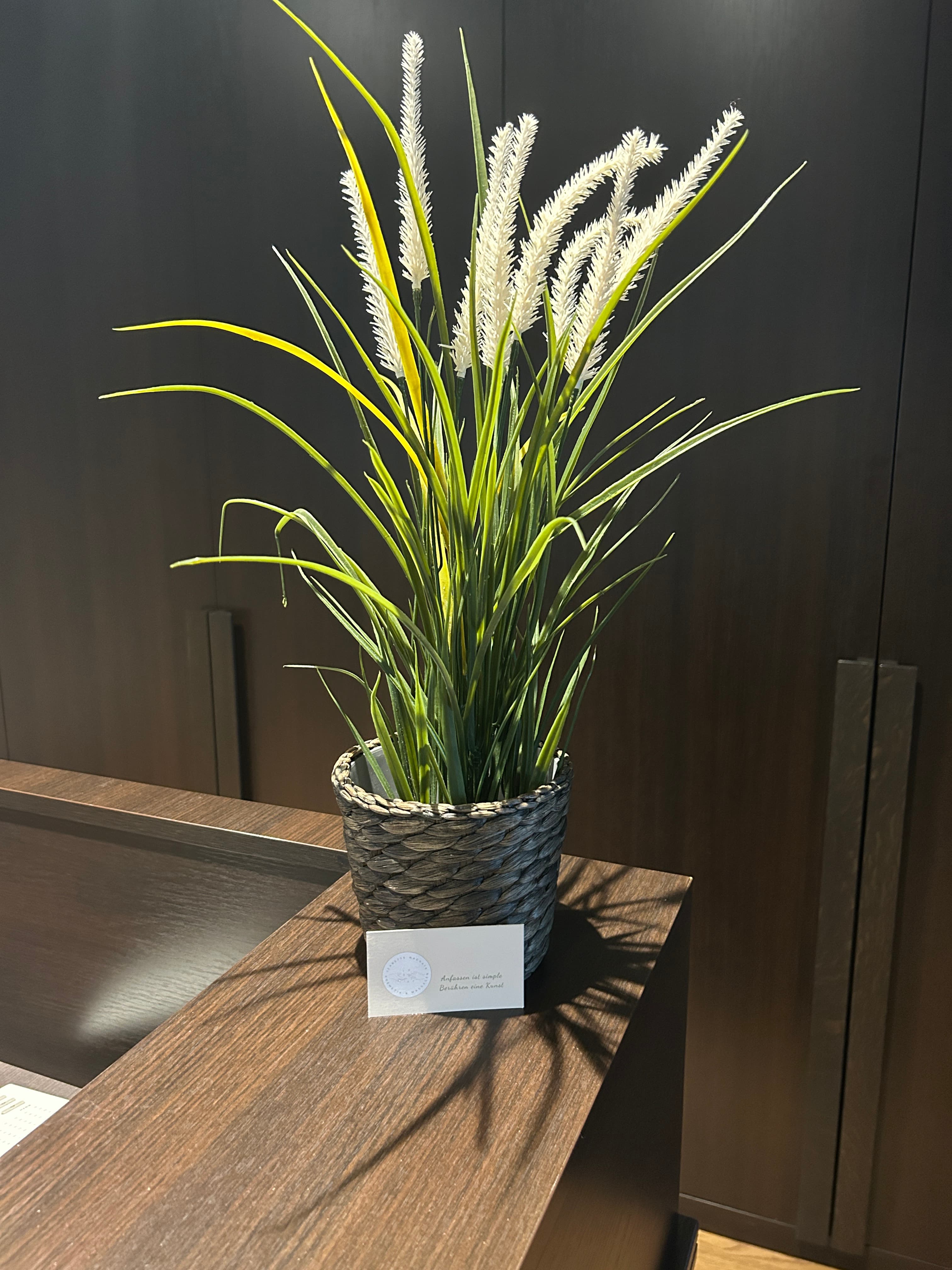 gallery 05